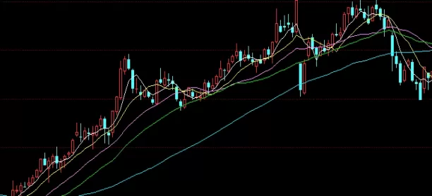 新鲜出炉！金猴期货现场直播(为期货市场的普及与发展注入了新的活力)_http://xycfv.cn_期货技巧_第1张